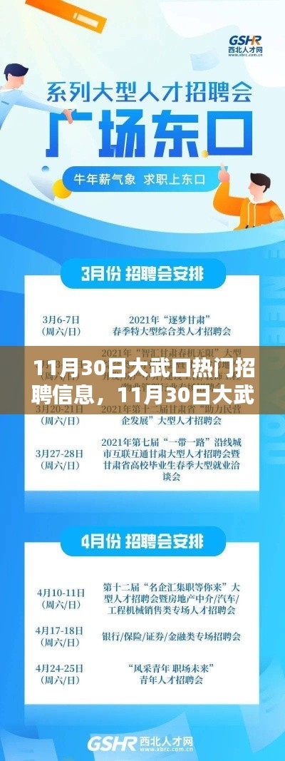 11月30日大武口热门招聘信息全面解析与评测