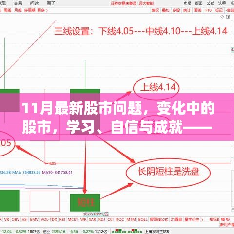 2024年12月1日 第37页