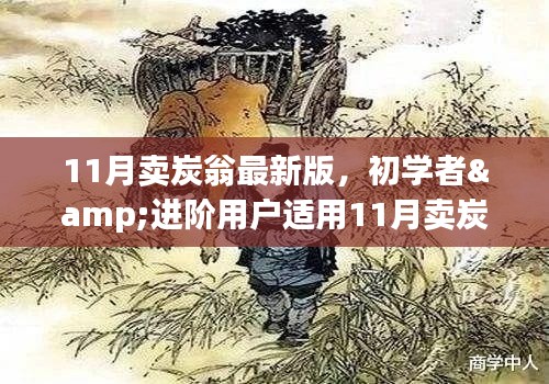 11月卖炭翁最新版操作指南，从初学者到进阶用户全面指南