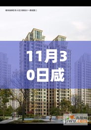 2024年12月1日 第35页