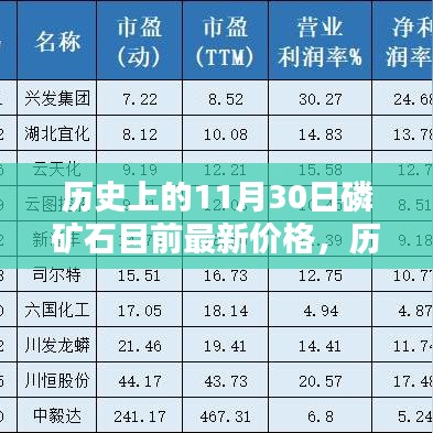 历史上的11月30日磷矿石价格深度解析及最新价格概览