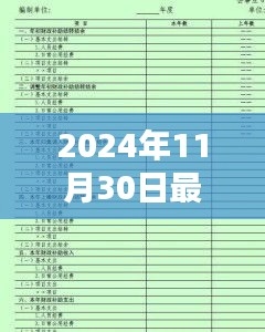 2024年11月30日财务报表详解与制作指南，初学者与进阶用户的必备参考