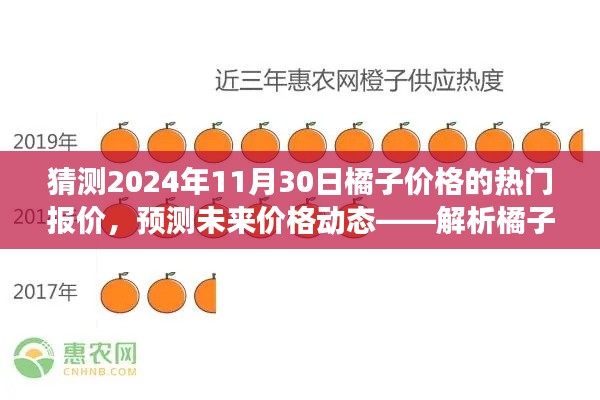 解析橘子市场趋势与预测未来价格动态，热门报价猜想，2024年橘子价格展望