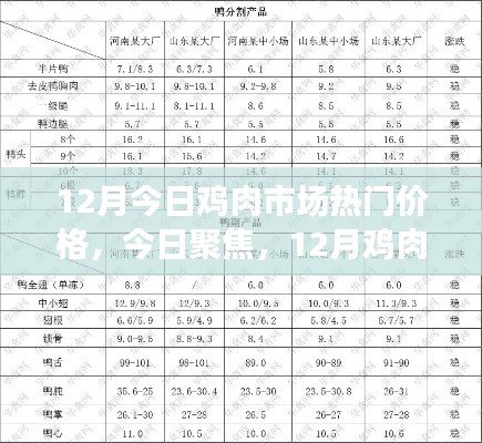 12月鸡肉市场热门价格深度解析与今日聚焦