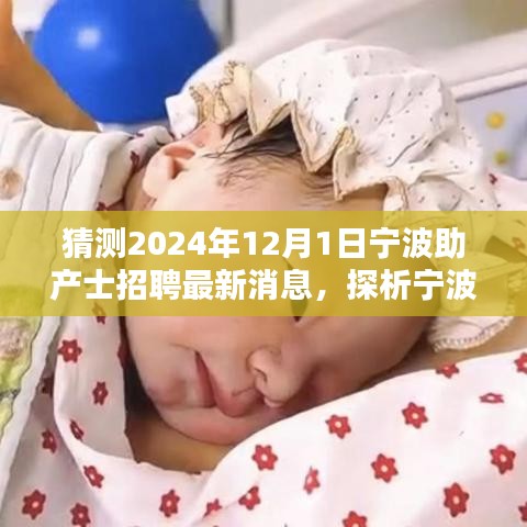 2024年12月1日 第30页