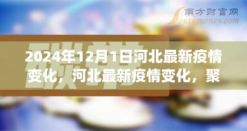 河北疫情最新动态解读与应对策略（截至2024年12月1日）