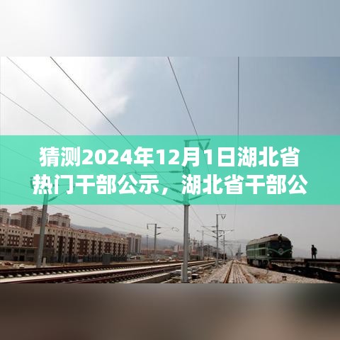 湖北省干部公示系统预测，热门干部公示揭晓在即，深度解析与分析展望2024年12月1日公示动态