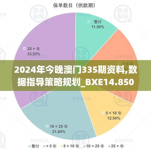 2024年今晚澳门335期资料,数据指导策略规划_BXE14.850精英版