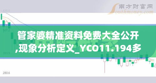 管家婆精准资料免费大全公开,现象分析定义_YCO11.194多元文化版