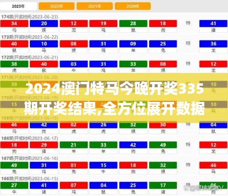 2024澳门特马今晚开奖335期开奖结果,全方位展开数据规划_KIN29.306量身定制版