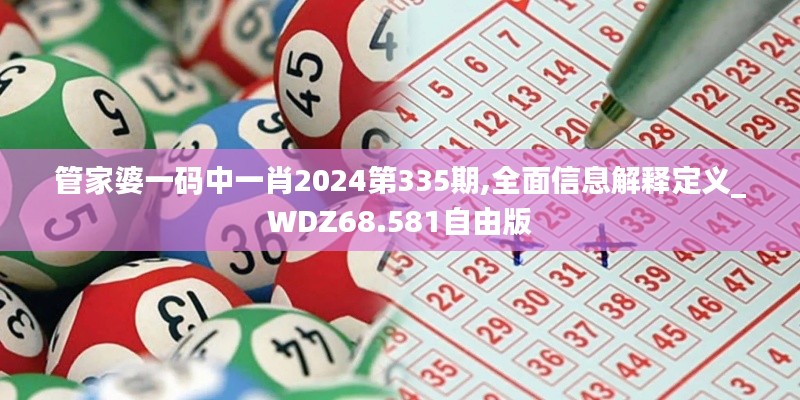 管家婆一码中一肖2024第335期,全面信息解释定义_WDZ68.581自由版