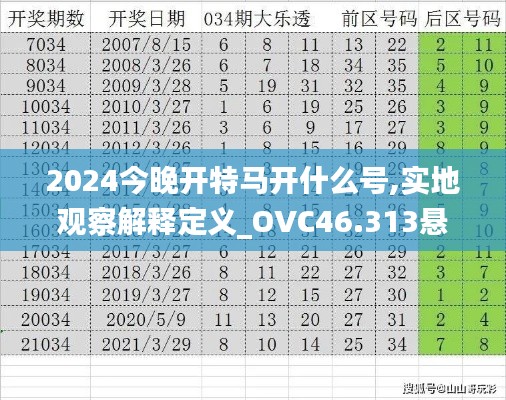 2024今晚开特马开什么号,实地观察解释定义_OVC46.313悬浮版