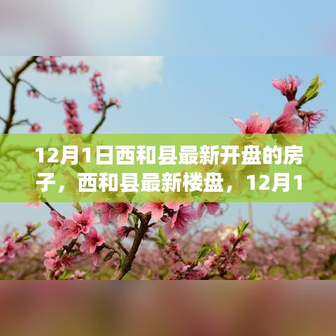 西和县最新楼盘深度解析，12月1日新开房源一览