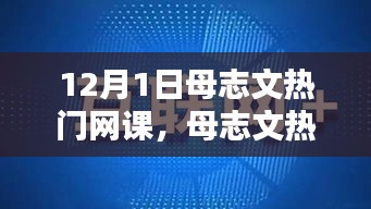 2024年12月1日 第7页