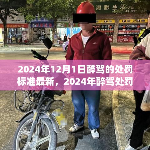 2024年12月1日 第5页