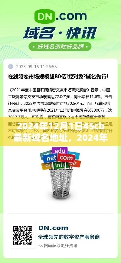 探索未来网络前沿，最新域名地址解析及未来趋势预测