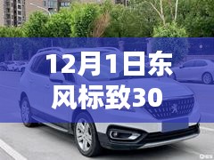 揭秘东风标致3008最新报价，探寻其在特定领域的影响力与地位（最新更新）