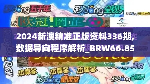 2024新澳精准正版资料336期,数据导向程序解析_BRW66.854艺术版