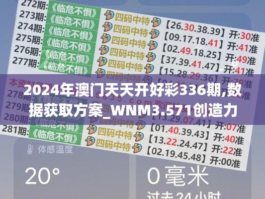 2024年澳门天天开好彩336期,数据获取方案_WNM3.571创造力版