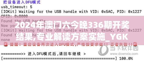 2024年澳门六今晚336期开奖结果,专业解读方案实施_YGK63.497内置版