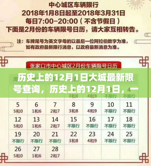 历史上的12月1日，大城限号下的自然美景探索之旅与最新限号查询