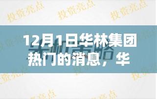 2024年12月2日 第37页