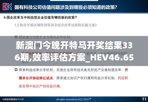 新澳门今晚开特马开奖结果336期,效率评估方案_HEV46.655炼气境