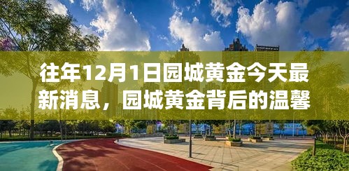 园城黄金背后的故事，黄金友情的闪耀与最新消息揭秘