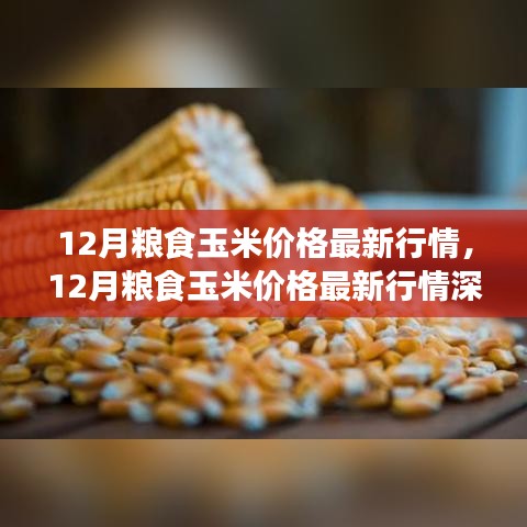 深度解析，12月粮食玉米价格最新行情及评测介绍