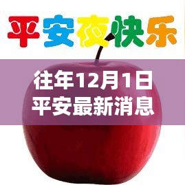 平安集团历年12月1日动态概览及最新消息发布