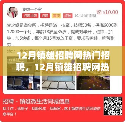 12月镇雄招聘网热门招聘全面解析与介绍