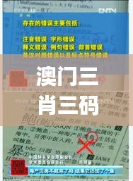 澳门三肖三码精准100%新华字典336期,可靠执行操作方式_PKZ75.393优雅版