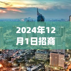 揭秘招商盾新发现，小巷深处的独特美食冒险之旅（2024年最新）