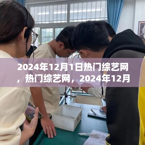 热门综艺网深度解析，2024年综艺生态展望与未来趋势探讨