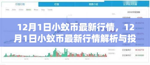 12月1日小蚁币行情解析，最新动态、投资策略与步骤指南