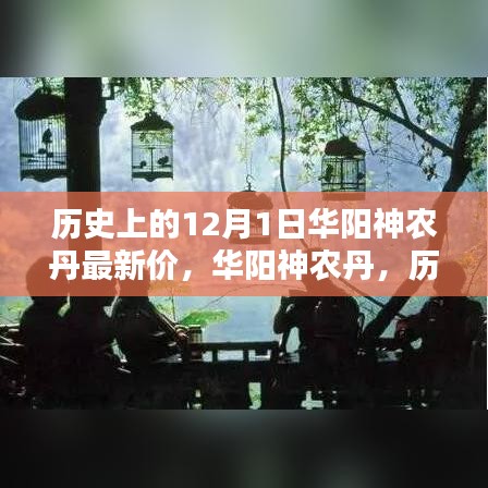 历史上的12月1日华阳神农丹，科技重塑生活的新纪元之最新价格动态