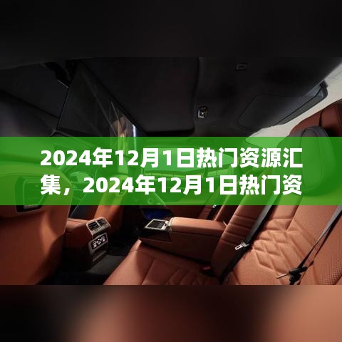 2024年12月1日热门资源大集结，开启全新世界的大门