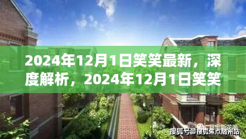 独家深度解析，2024年12月1日笑笑最新产品全面评测与解析