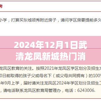 武清龙凤新城新篇章，学习变革的自信与成就感，展翅翱翔于未来的新篇章（2024年12月）