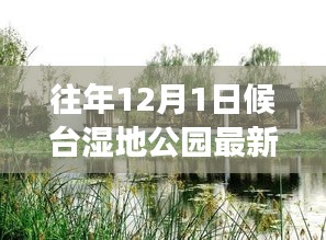 探秘候台湿地公园，特色小店与宝藏的惊喜之旅（最新动态）