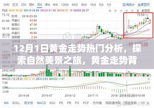 12月1日黄金走势探索与启示，自然美景背后的黄金之旅