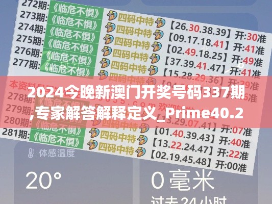 2024今晚新澳门开奖号码337期,专家解答解释定义_Prime40.210-3