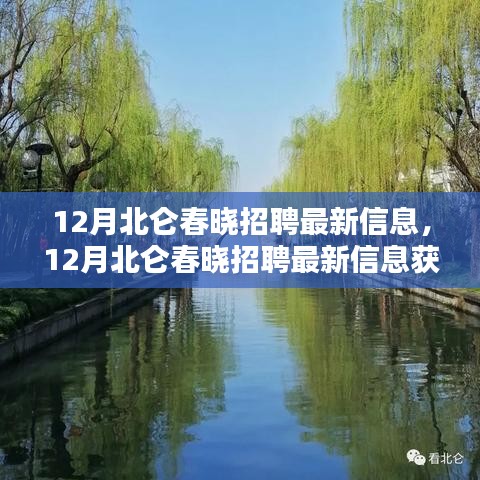 12月北仑春晓招聘最新信息及应聘全攻略，初学者与进阶用户必备