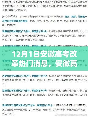 安徽高考改革最新动态，聚焦要点解读与影响分析（12月1日更新）