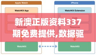 2024年12月2日 第13页