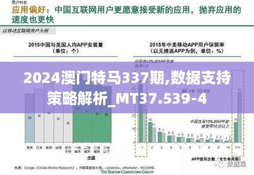 2024澳门特马337期,数据支持策略解析_MT37.539-4