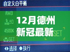 德州新冠病毒最新数据深度报告，深度解析与评测报告