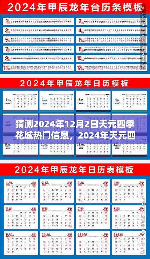 天元四季花城未来热门信息预测，观点阐述与解析（2024年12月2日版）