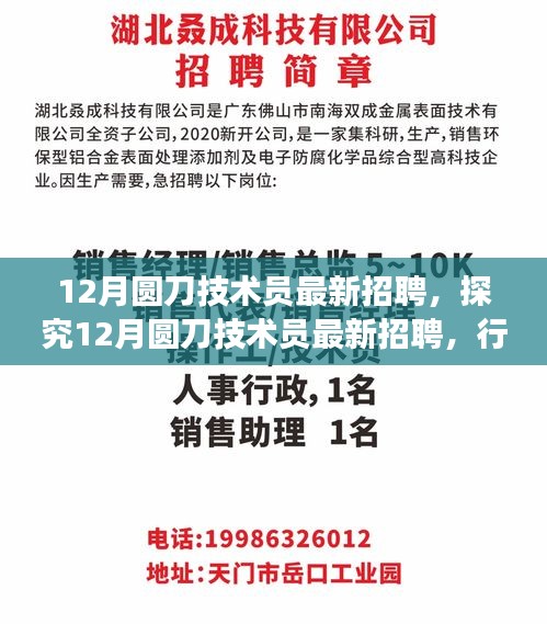 最新招聘动态，揭秘行业现状与个人立场下的12月圆刀技术员招募