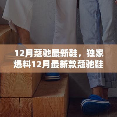 独家爆料，12月最新款蔻驰鞋履——时尚巅峰之选